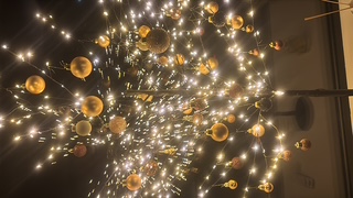 Thumbnail E2839866 ACC5 4C1E BE92 0CC34AECE684